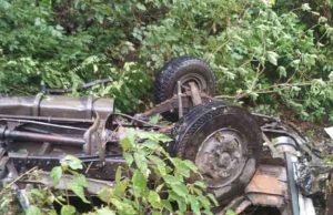 3 killed as bus plunges off hill road