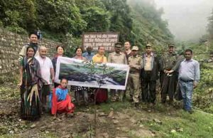 Doon Buddhist Committee participates in tree planting