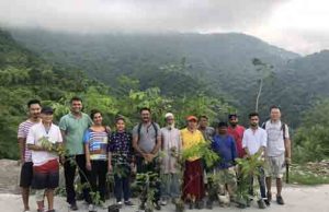 Doon Buddhist Committee holds tree planting drive