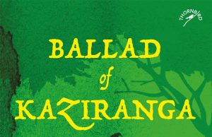 Ruminating over the ballad sung for Kaziranga