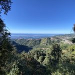 Azure skies in autumn