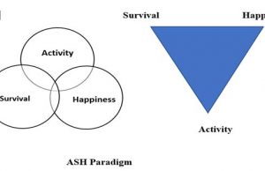ASH Paradigm for Lasting Happiness