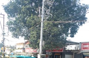 Police on alert during festive season, 805 vehicles challaned