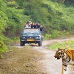 Corbett Park