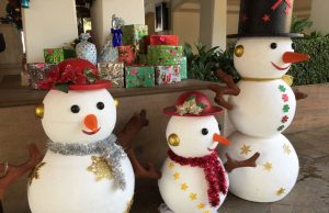 THE LAST WHITE CHRISTMAS