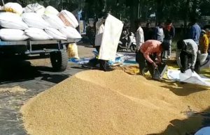 U’khand sets target for paddy procurement at 5.25 Lakh Tonnes this year