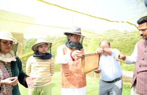Honey extraction carried out at CM’s residence