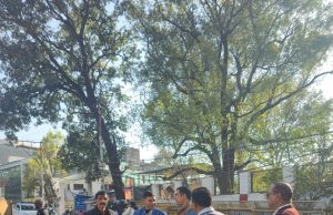 No tree to be harmed in Cantt Road widening project: PWD