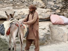 ‘Peaceful days in the Arabian Peninsula’