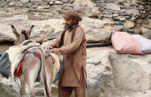 ‘Peaceful days in the Arabian Peninsula’