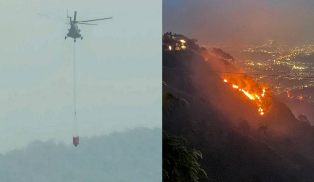 Forest Fire Kausauli