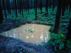 Construction of water holes ordered in forests to help control fires, quench thirst of wild animals