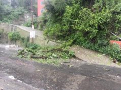 Red Alert in Mussoorie; Torrential rain disrupts daily life