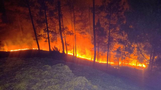 Forest Dept study reveals pine forests are biggest fire hotspots in U’khand
