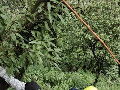 Youth falls into gorge at Zero Point in Mussoorie, rescued
