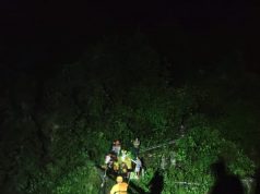 SDRF rescues 8 persons amid heavy rain in Dehradun & Rishikesh