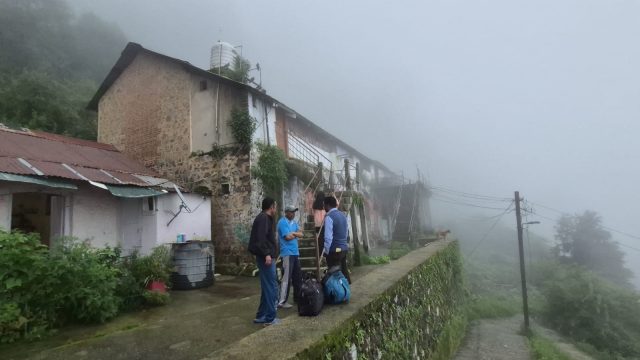 Hillside 2