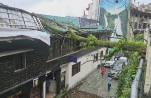 Tree Falls on Mussoorie Hotel; Narrow Escape for Tourists