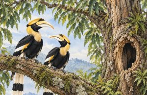 Of old trees, young wings and a mysterious architect