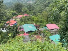 Nainital’s Jeolikote belt hit by water-borne diseases, over 250 ill, 2 dead
