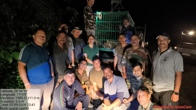 Tiger rescued from Almora to undergo DNA test at Dhela Rescue Centre