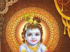 Krishna through My Eyes, Bharat through His