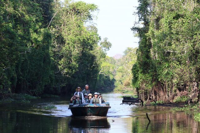 1.On the Kinabatangan