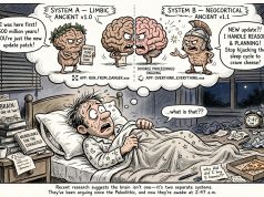 Is It Brain Or Brains?