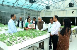 “Himalayan region can become major hub for medicinal & aromatic plant cultivation”